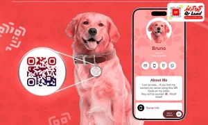 کیو آر کد حیوانات خانگی | QR کد حیوانات خانگی